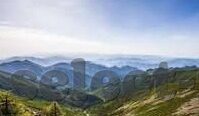 广州富足球比分-广州足球风云，比分背后的热血与梦想